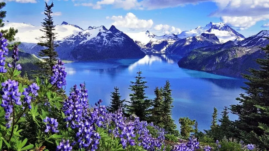 Photo of Canadian nature for mobile