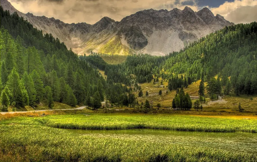 The best green nature poster in the world with a relaxing color theme ready to print