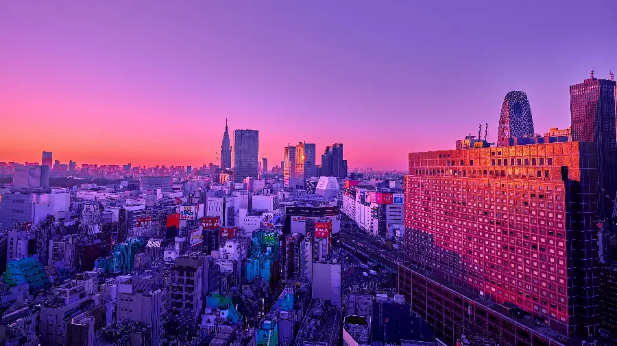 Ideal Graphic Background for Purple Lovers
