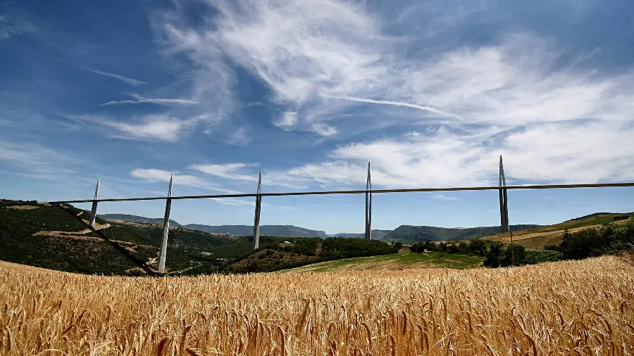 The background above Very beautiful wheat field for computer background 