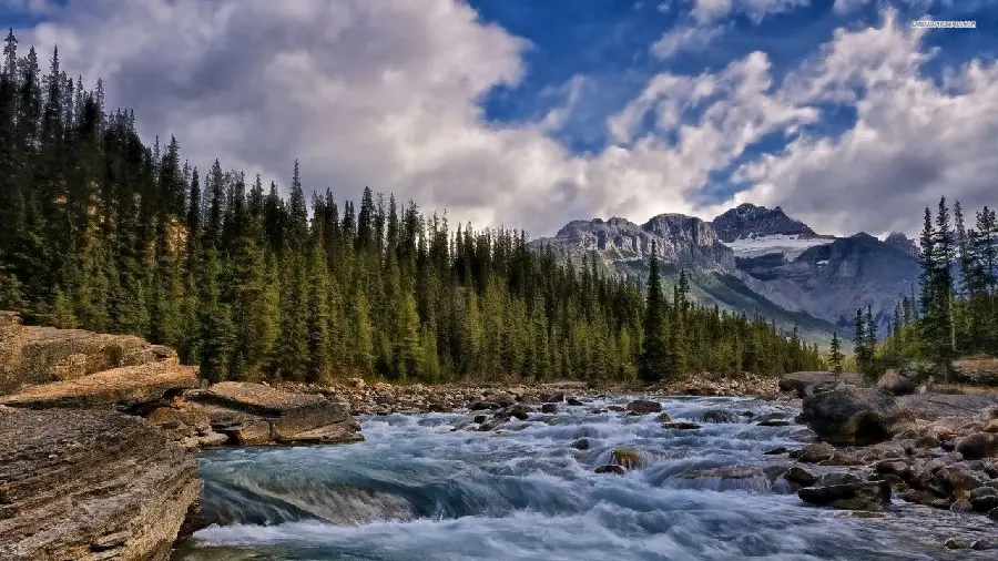 Beautiful river wallpaper of Canada 8K