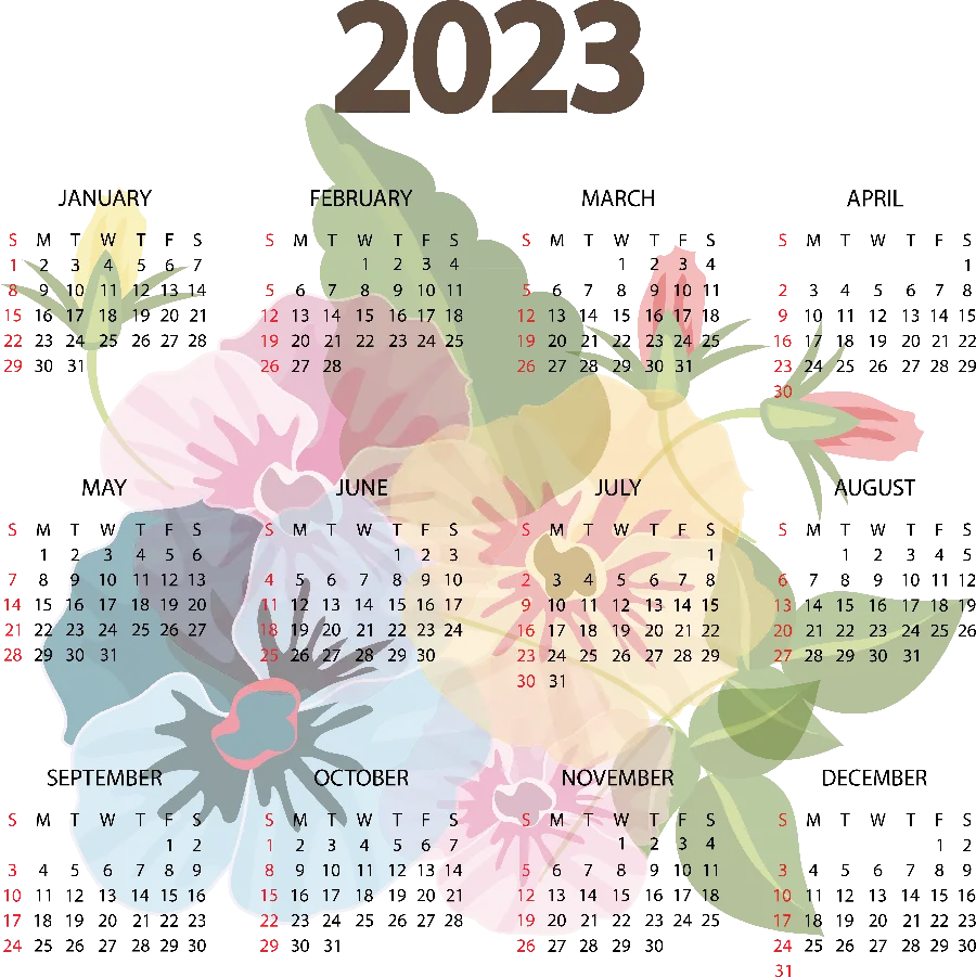 Image of the 2023 calendar of beautiful flowers without a background