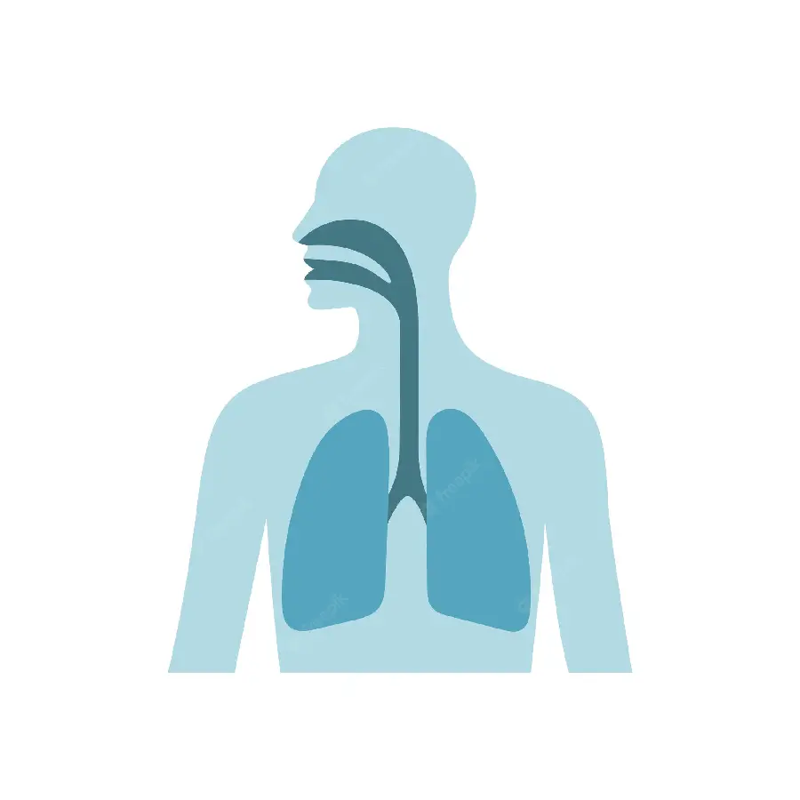 Photo of a lung with a graphic design