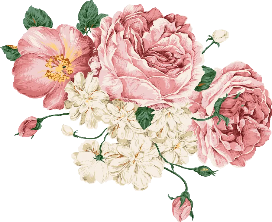 PNG image of a beautiful pink flower