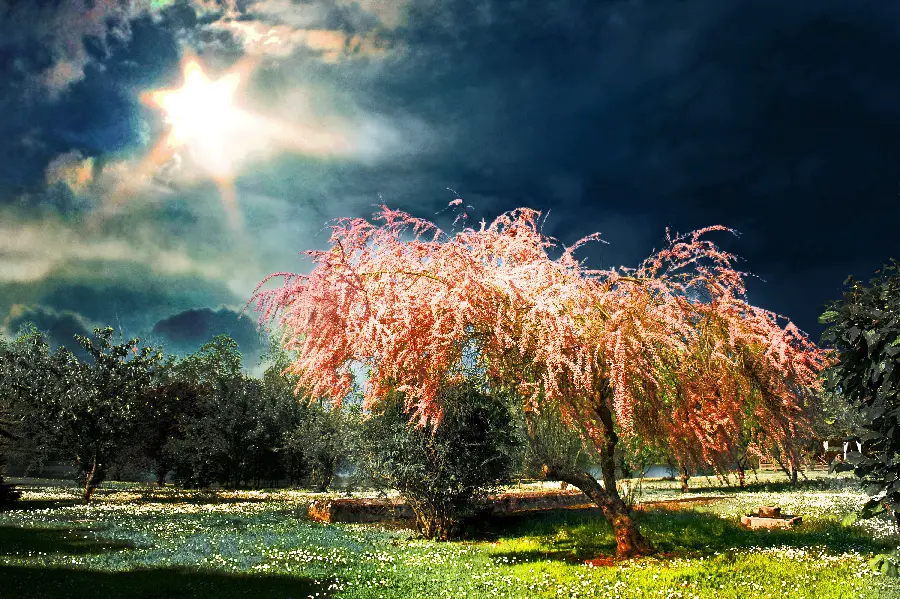 Cool and Beautiful Spring Photo