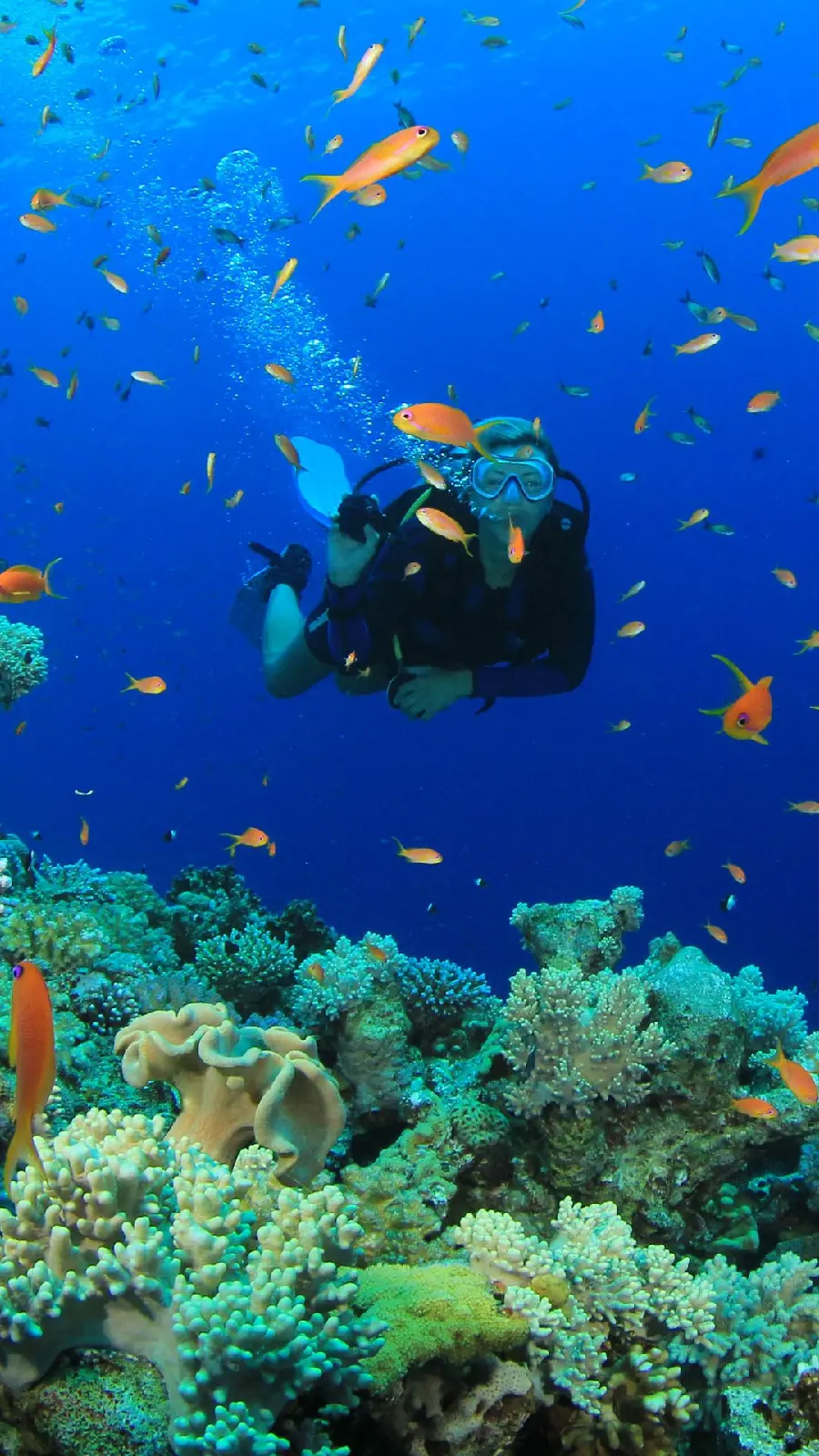Beautiful Successful Female Diver in Water Wallpaper for iPhone