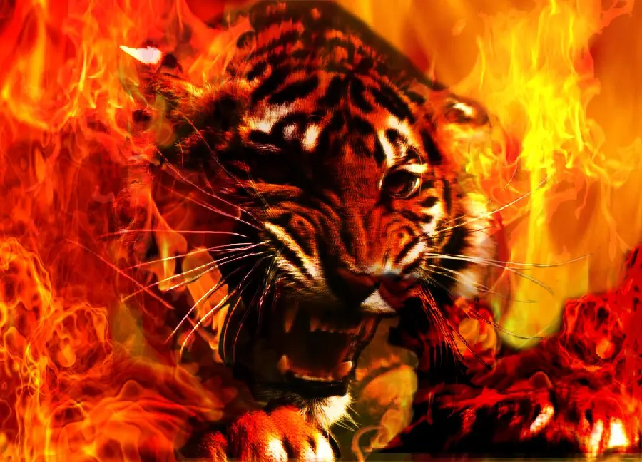 The scariest Windows background image of the fiery roar of a fierce orange tiger