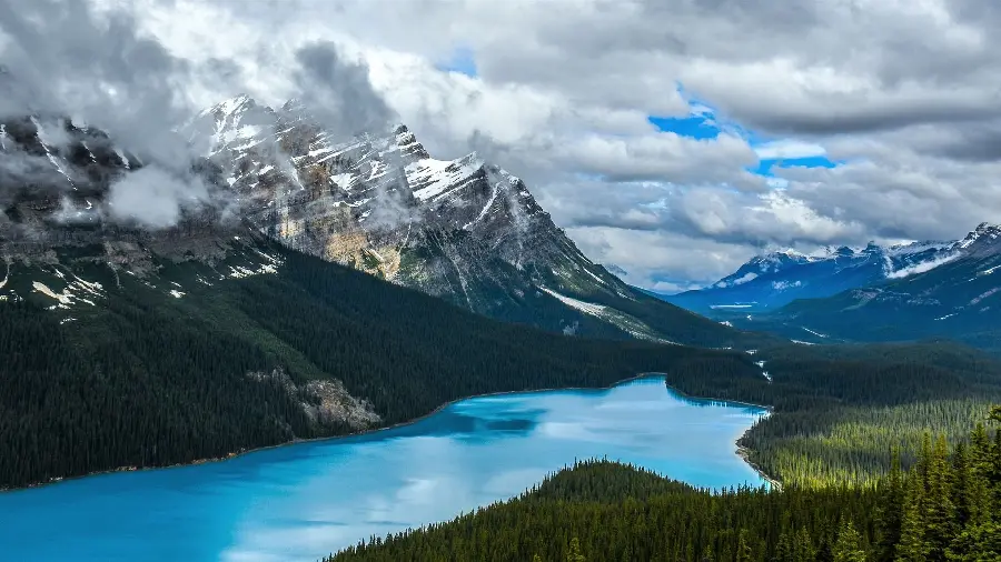 Cool Photo of Canadian Nature