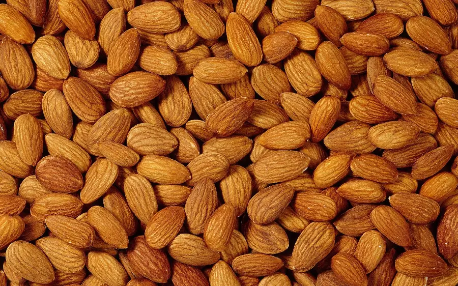 Salty and delicious tree almonds in a Full HD view