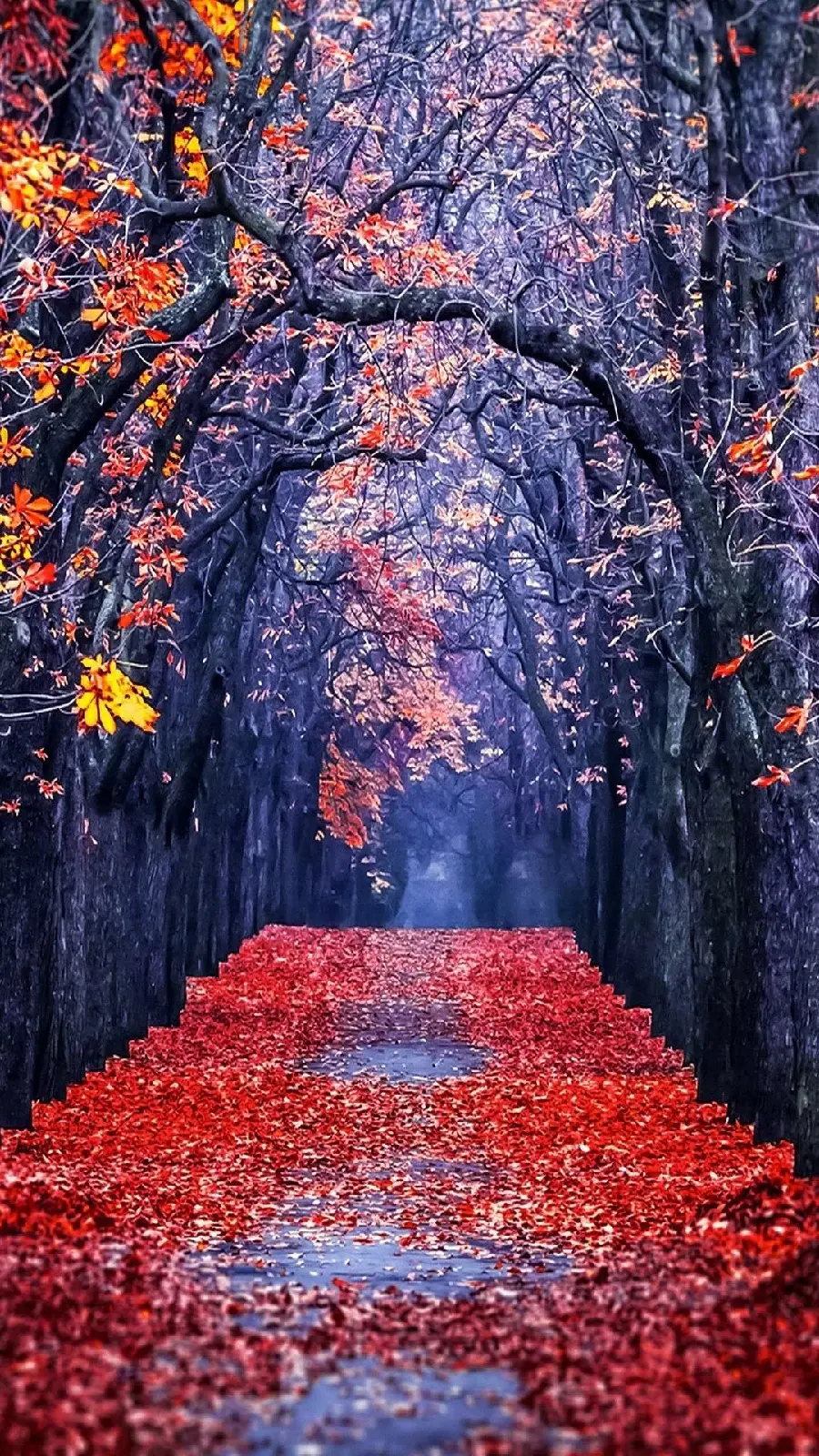 High-quality autumn background