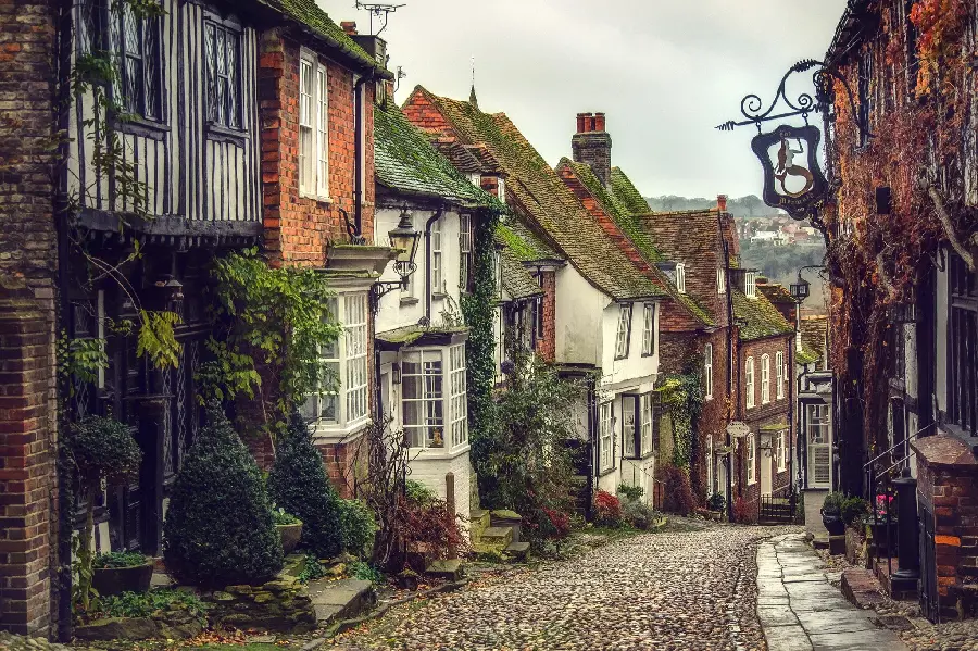 High quality picture of a lonely street on the outskirts of a green village