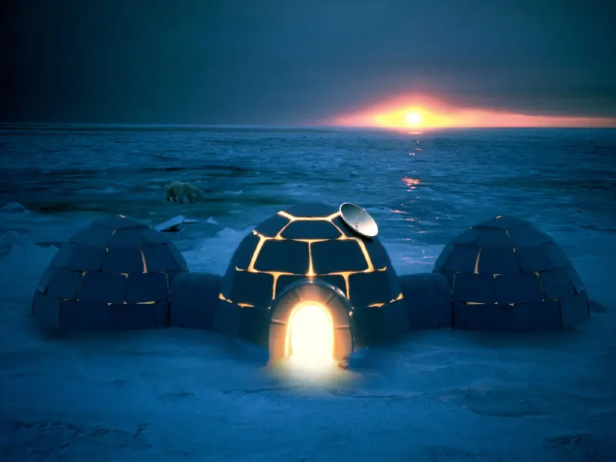 Beautiful laptop background of a polar bear next to ice igloos