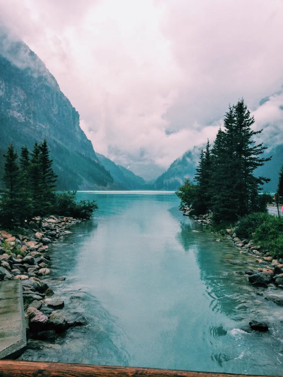 Dreamy Nature Photo and Vancouver Lake Canada