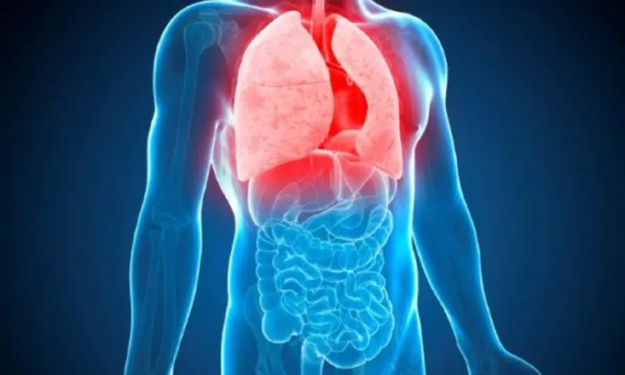 Download lung image
