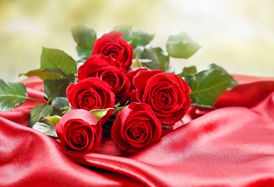 Elegant and Romantic Red Rose Bouquet on Shiny Red Fabric