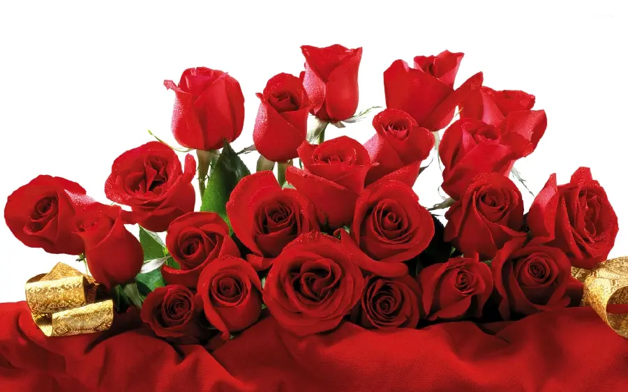 Full HD Image of Large Red Rose Bouquet with White Background