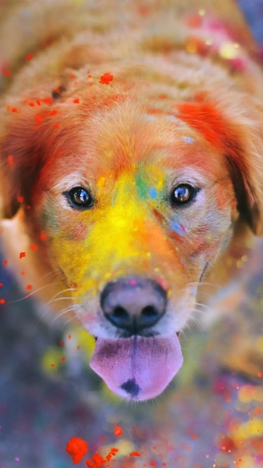 The Latest Dog Art Profile Picture with a Happy and Colorful Theme