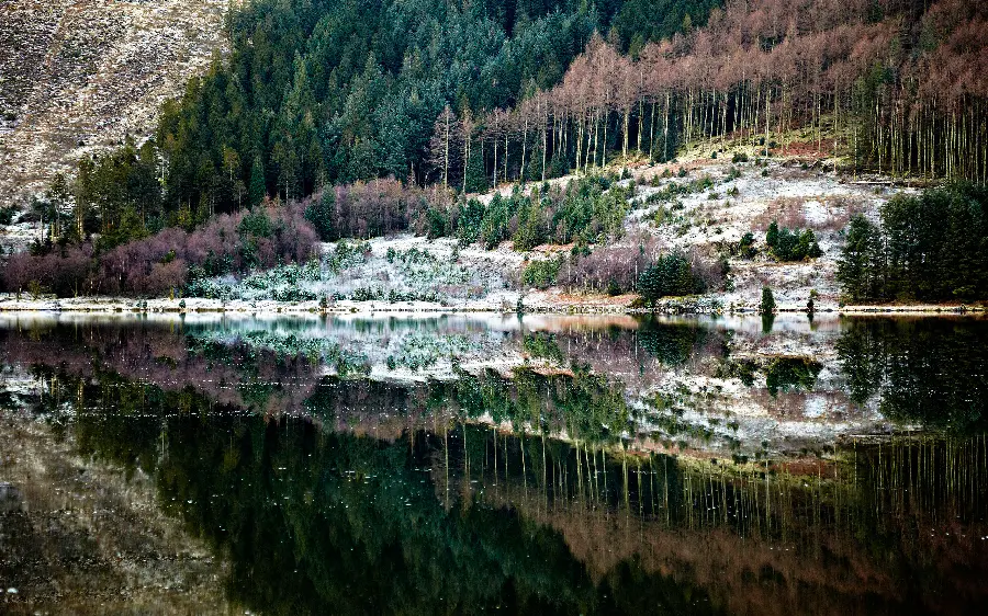 Amazing background of nature reflection in water in HD quality
