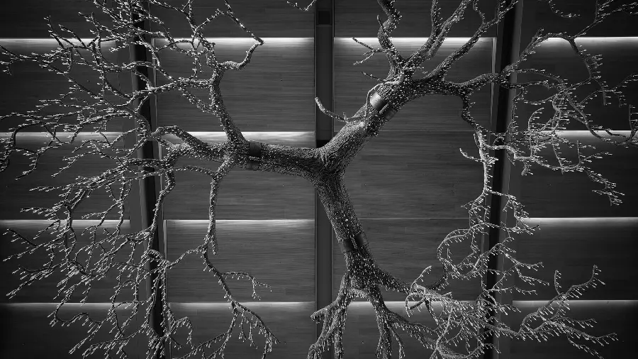 Interesting and cool black and white photo with an amazing tree subject 1402