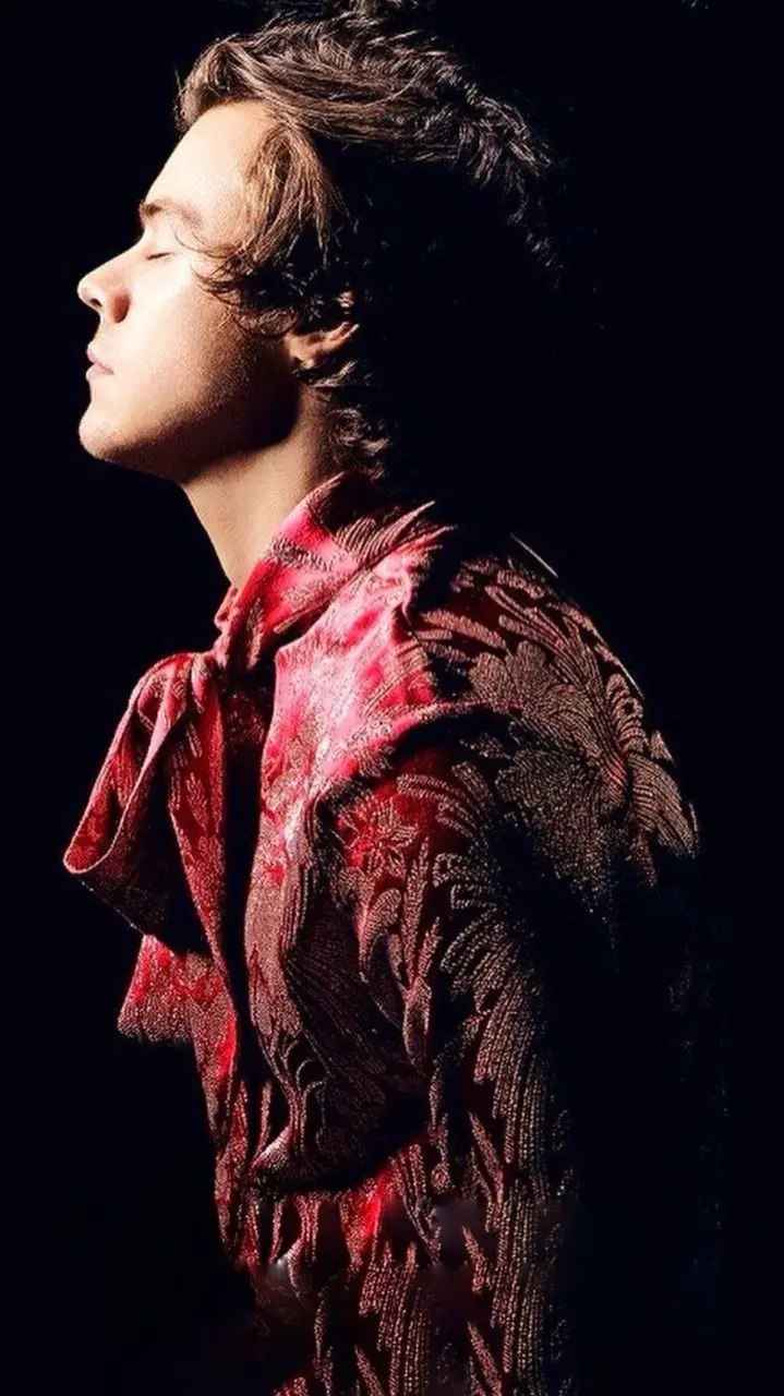 Harry Styles' attractive half-face with a special red dress