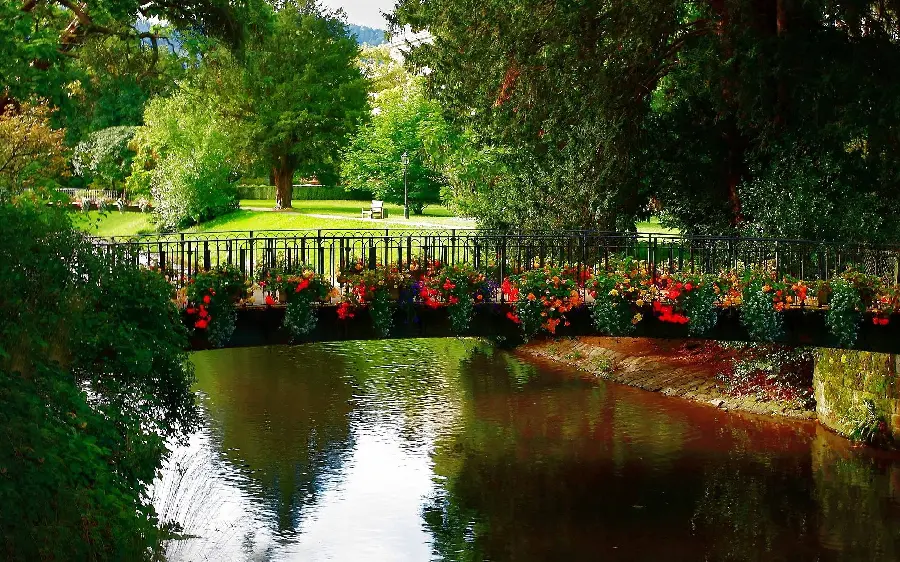 Attractive Picture of Bridge Over Lake in Park Decorated with Spring Flowers