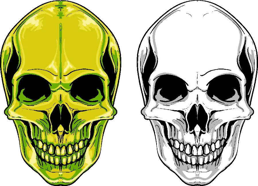 Human skull telephoto image in two colors green and white