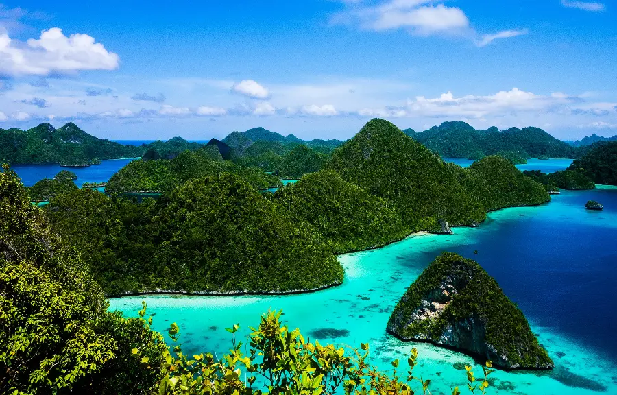 Shining nature image of a blue river and a green forest in each other's arms