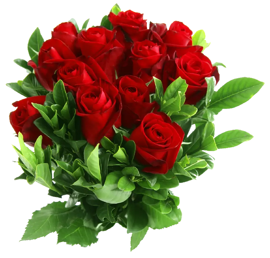 A bouquet of incredibly beautiful red roses PNG in a high-quality artistic frame