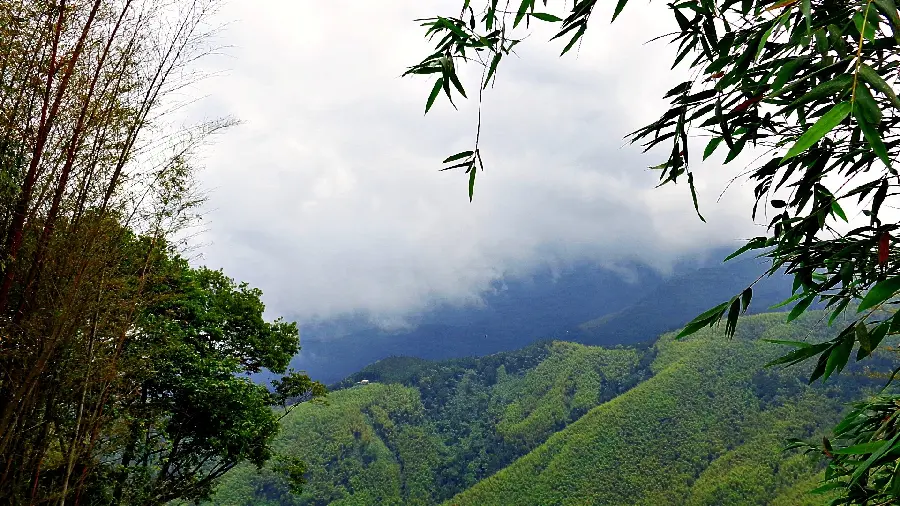 The most beautiful real wallpaper of pristine nature for desktop