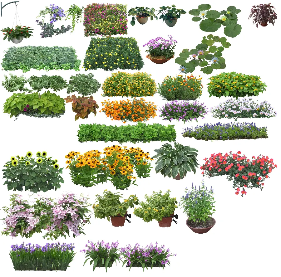 High quality images of various bushes, flowers and plants png without background for dear designers