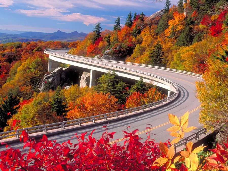 Autumn photo without text for girls and boys' profiles