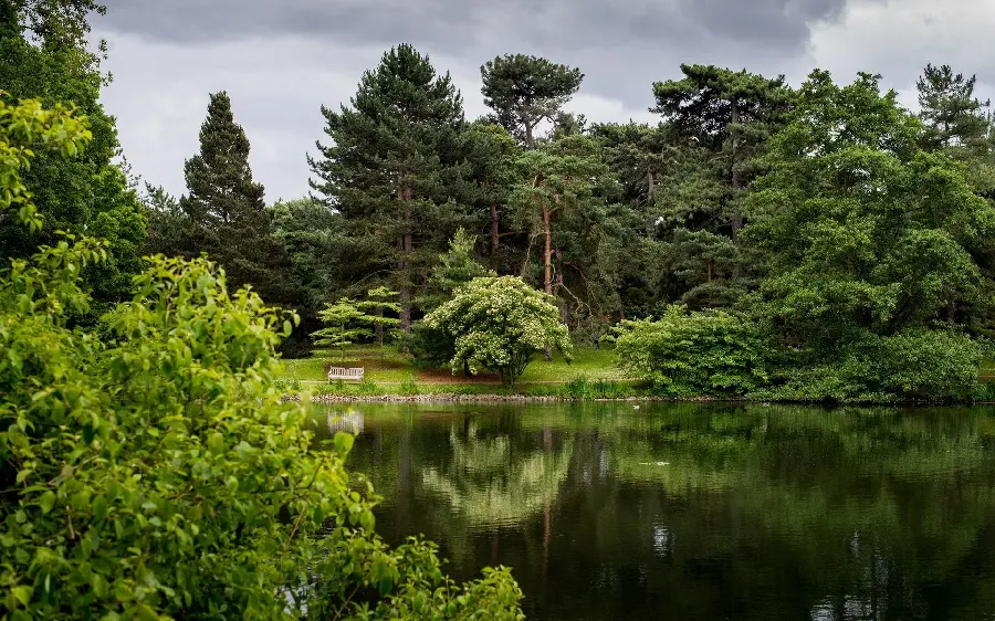Attractive nature full hd wallpaper with a reflection of green trees in the water