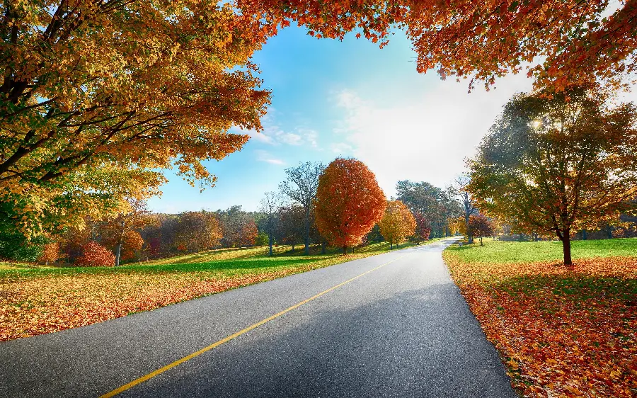 Autumn background