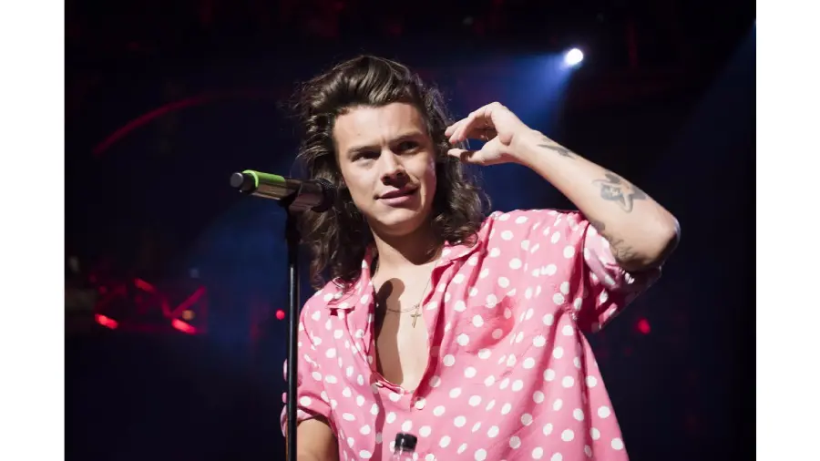 Harry Styles handsome singer with a cool pink haircut