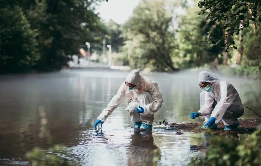Image of Environmentalists Collecting Water Garbage