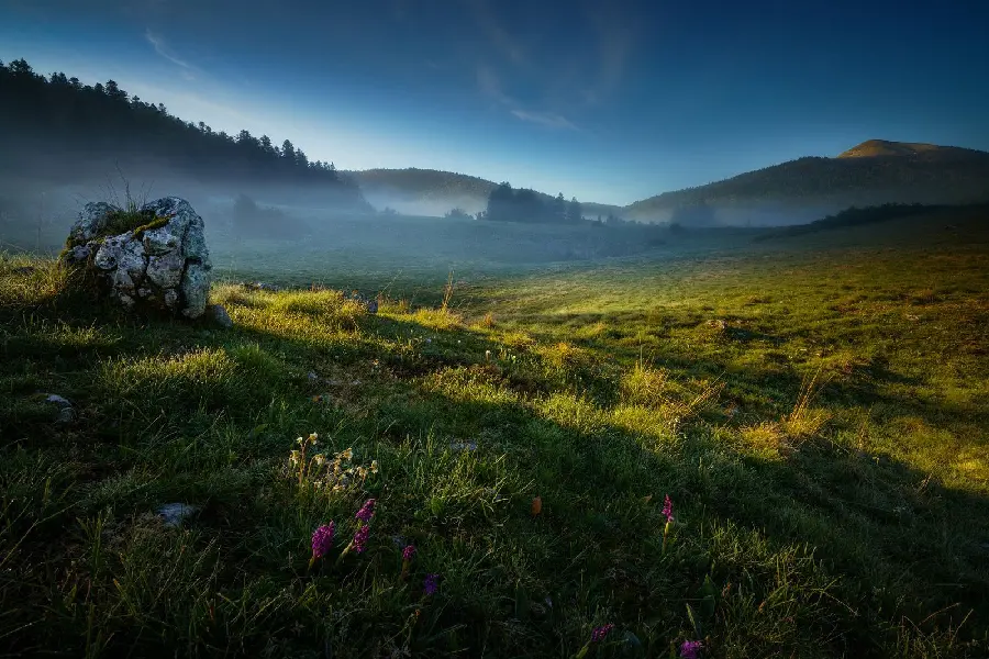 Beautiful and spectacular photo of spring in the early morning