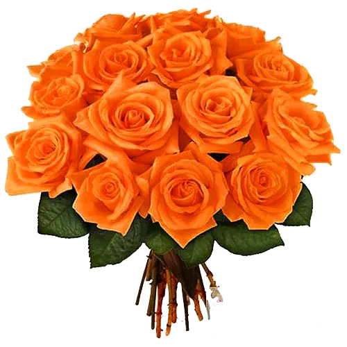 Orange Dutch rose bouquet photo for inshot use