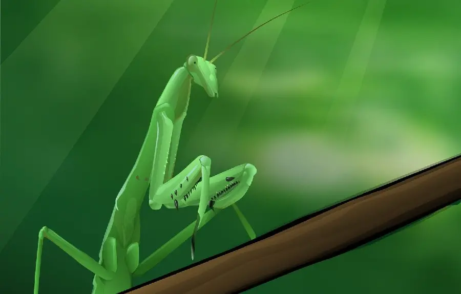 Full HD Digital Painting of Green Mantis Insect