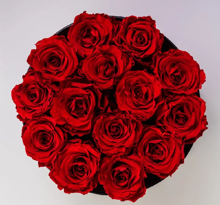Beautiful red rose bouquet from a high angle in Full HD