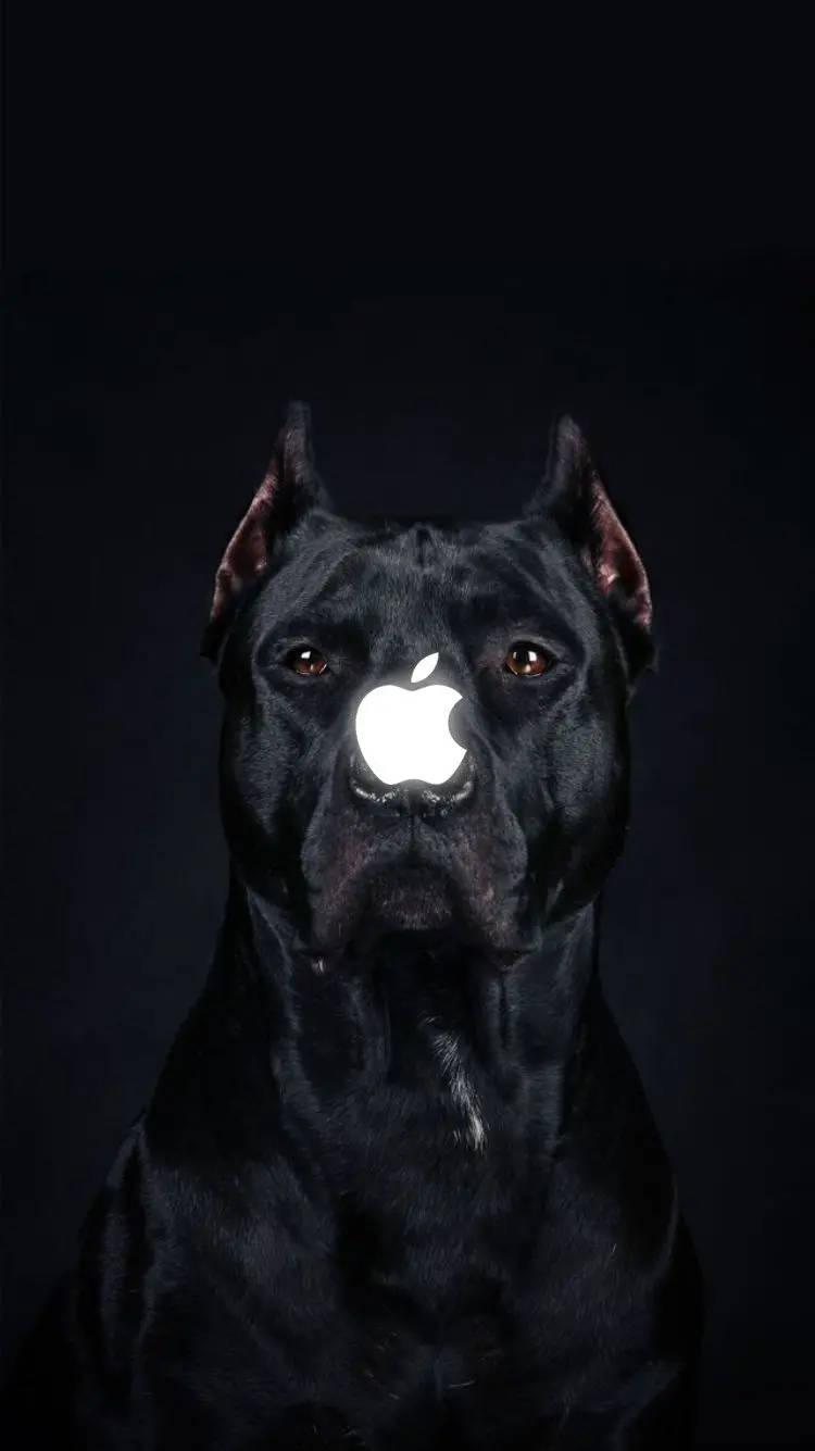 Luxury wallpaper of a large black dog with a luminous iPhone logo