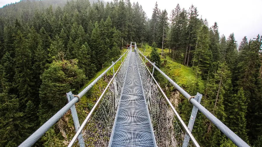 Ultra HD Photo of Beautiful Bridge in Green Nature for Wallpaper