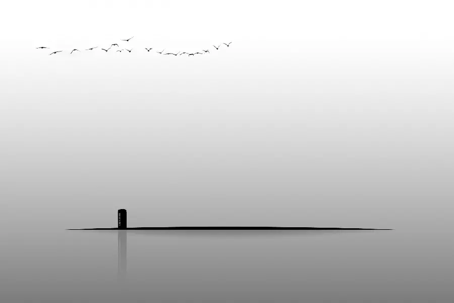 Minimalist Conceptual Photo of Birds Flying Above Building