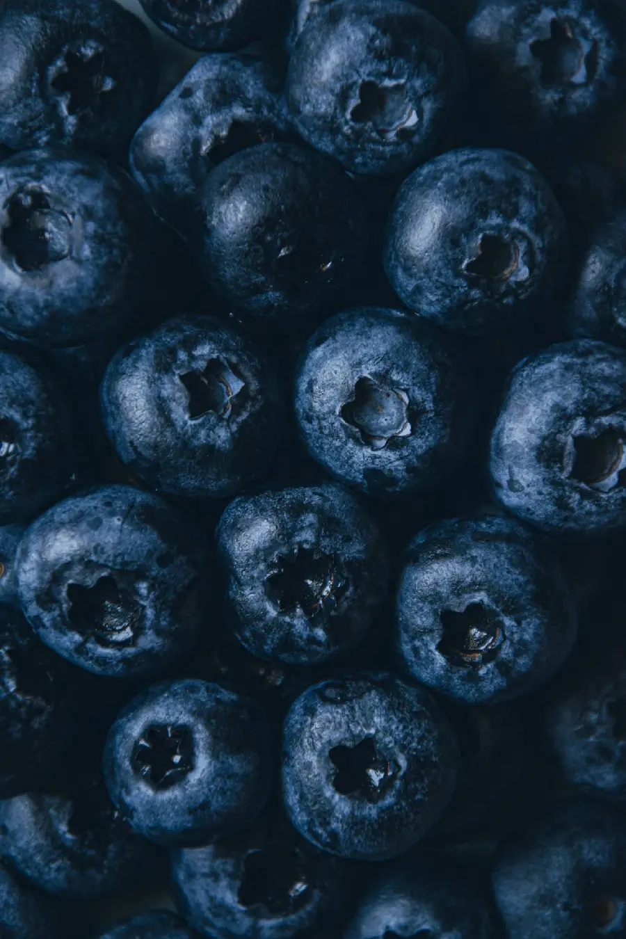 Luxury fruit photo of charcoal Blueberry