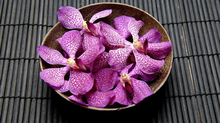 High quality purple flower wallpaper