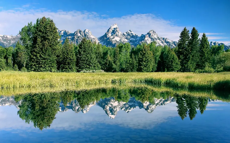 Beautiful and original background of nature with a relaxing color halo