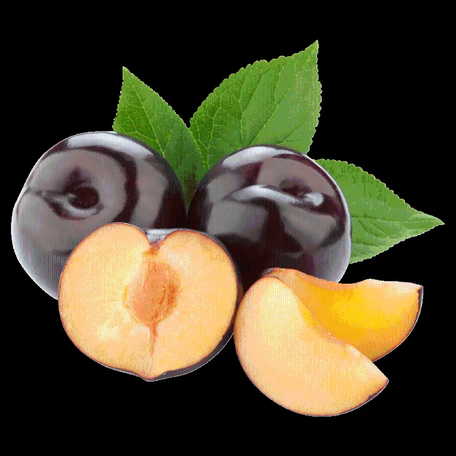 Cool plum png Black Plum Picked From Tree With Leaves