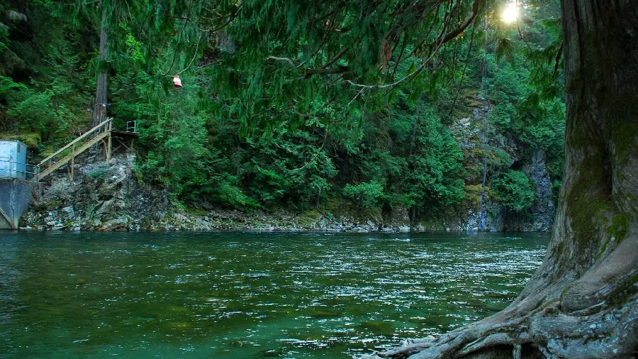 Photo of nature and river from Canada