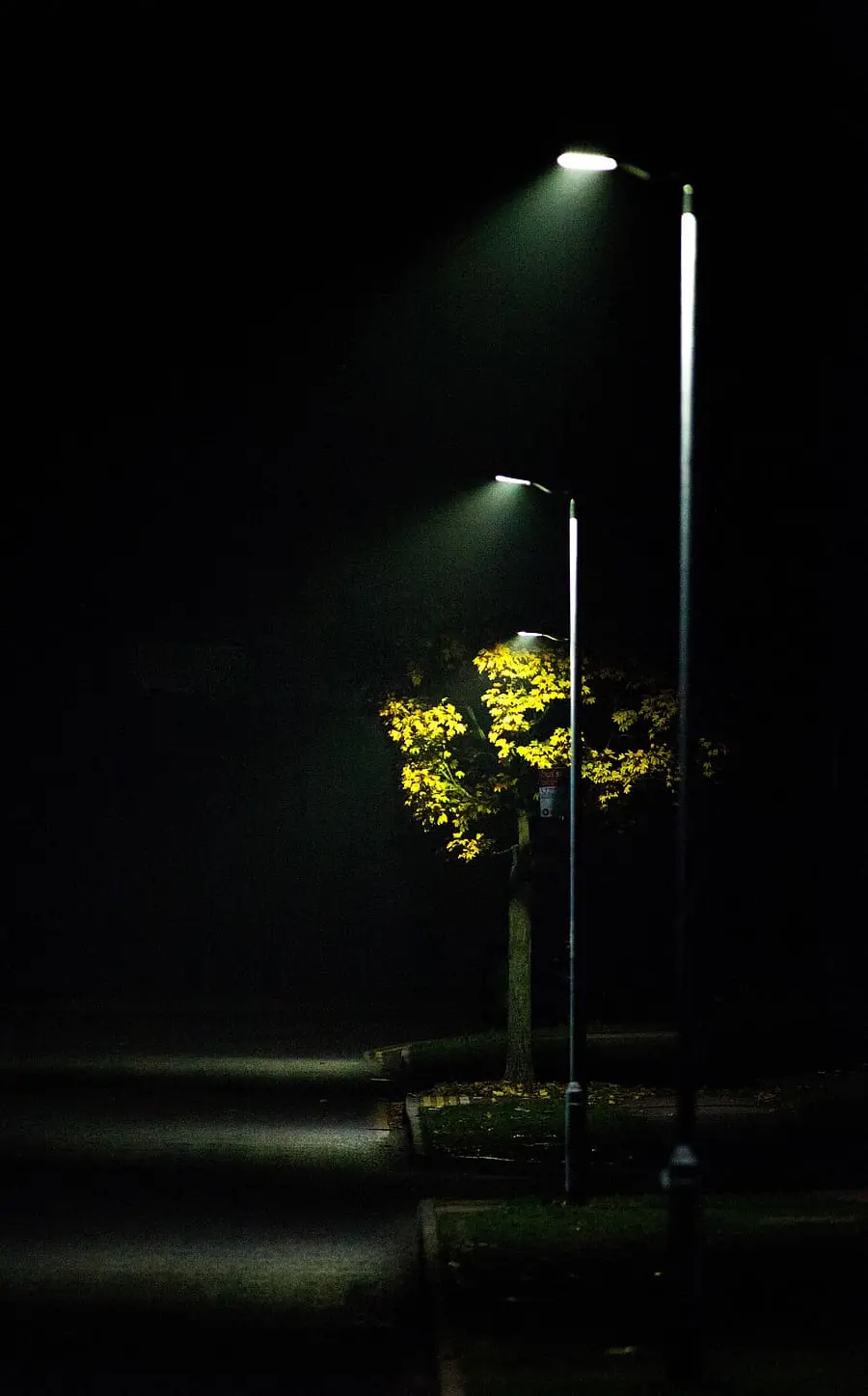 Lonely street with bright lights for WhatsApp profile