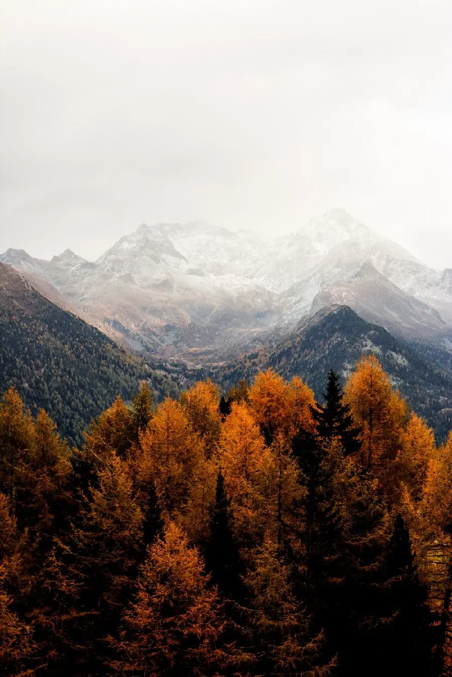 Autumn Background for Writing Text