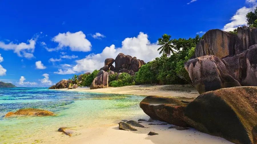 Download Background of the beautiful sea beach in Bali